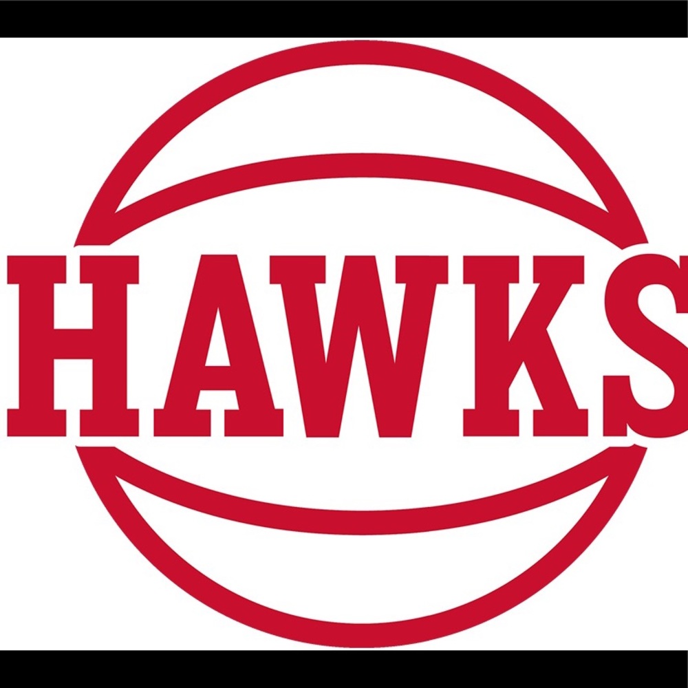 NBA Atlanta Hawks Team Logo Basketball 🏀